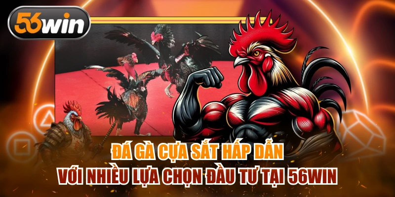 Đá gà cựa sắt kịch tính với nhiều kèo cược nổi bật