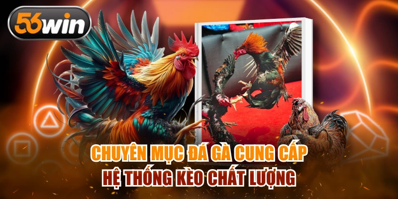 Chuyên mục nổi bật với đa dạng trận đấu sống động