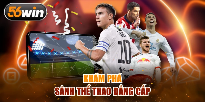 Khám phá sảnh thể thao đẳng cấp kịch tính